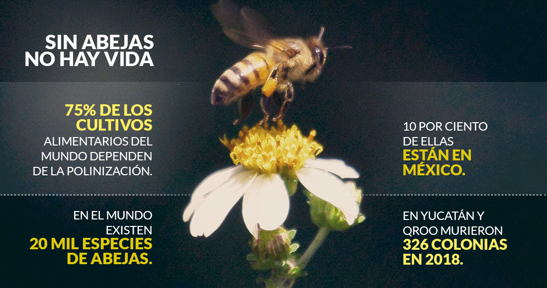 Agricultura